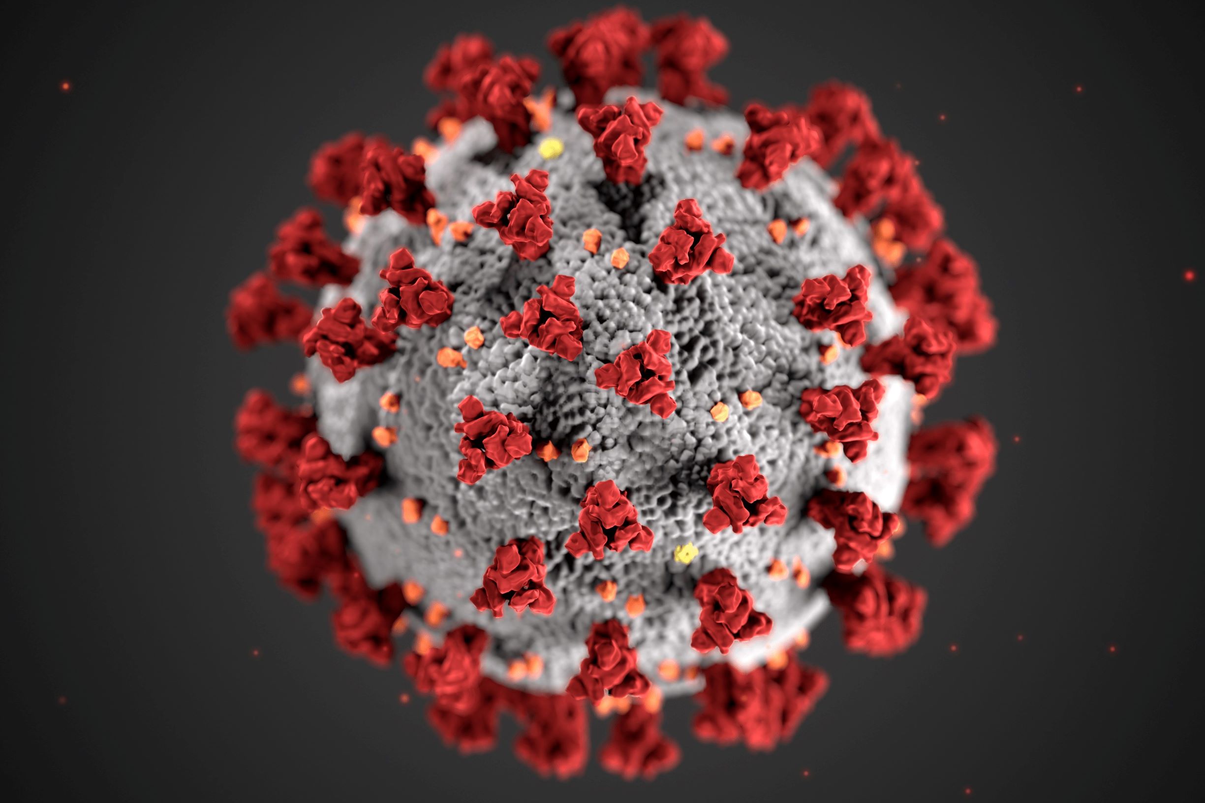 Herd Immunity Gets Boost from Stanford Research